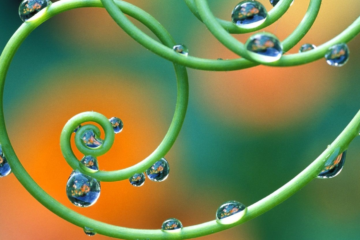 Importance of 432Hz tuning