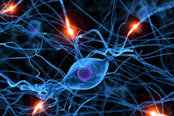 Understanding brainwave frequencies